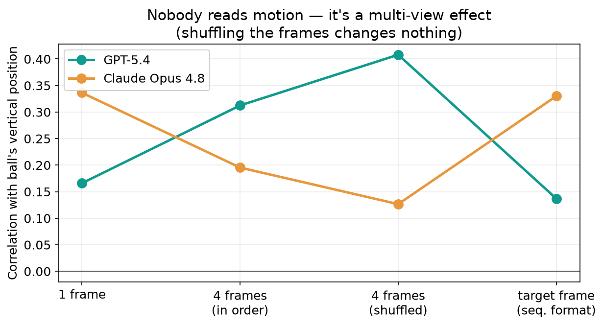 Nobody reads motion — it is a multi-view effect