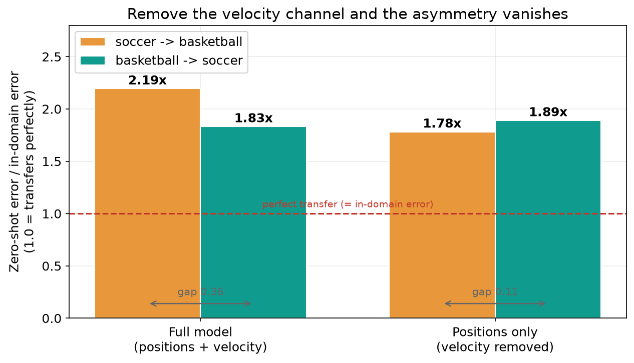 Removing the velocity channel makes cross-sport transfer symmetric