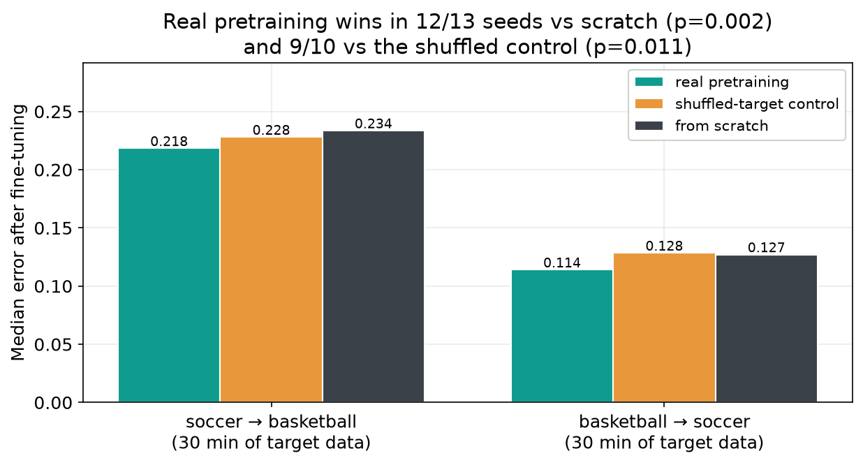 Real pretraining beats both scratch and the shuffled control, in both directions